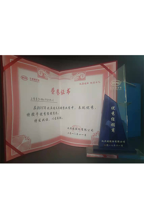 如皋市比亚迪2018优秀经销商